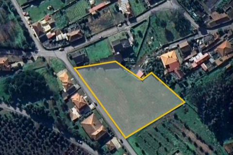 Tomt i Agueda, Aveiro, Agueda - € 110 000 | Ref: 126191 - foto 7