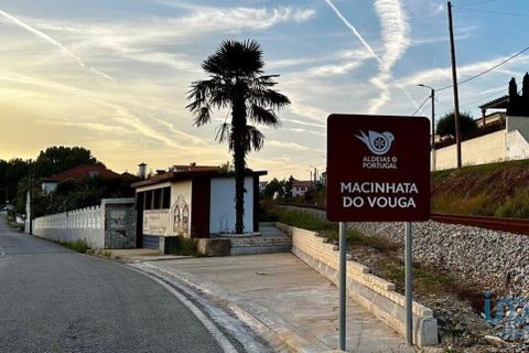 Tomt i Agueda, Aveiro, Agueda - € 110 000 | Ref: 126191 - foto 8
