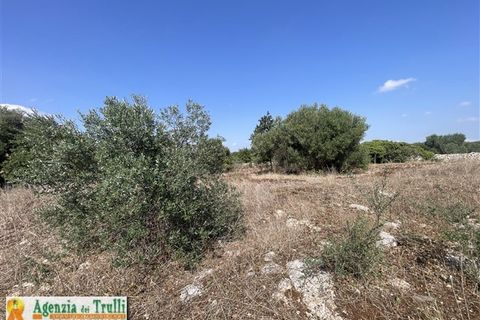 Leilighet i Putignano, Bari, Putignano - € 48 000 | Ref: 150 - foto 20