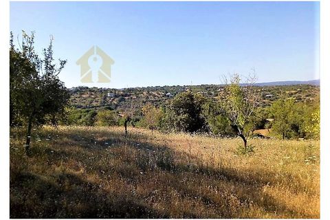 Ruinere i Paderne, Faro, Paderne - € 220.000 | Ref: RUÏ_192 - foto 3