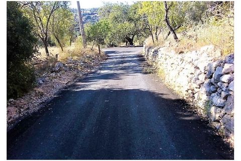 Ruinere i Paderne, Faro, Paderne - € 220.000 | Ref: RUÏ_192 - foto 5