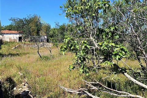 Ruinere i Paderne, Faro, Paderne - € 220.000 | Ref: RUÏ_192 - foto 11