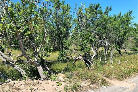 Ruinere i Paderne, Faro, Paderne - € 220.000 | Ref: RUÏ_192 - foto 12