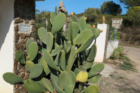 Villa i Olbia, Sassari, Olbia - € 380.000 | Ref: PITTULONGU 1 - foto 6
