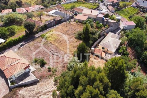 Terra a Gaula, Madeira, Gaula - € 70.000 | Ref: DR352 - foto 5