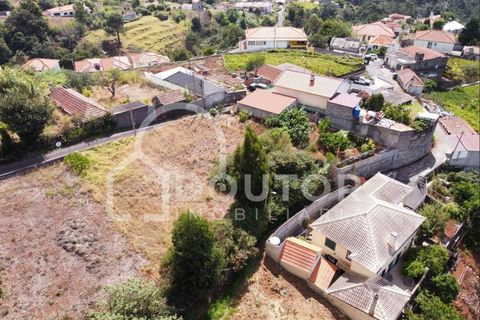 Terra a Gaula, Madeira, Gaula - € 70.000 | Ref: DR352 - foto 8