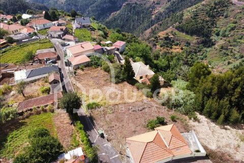 Terra a Gaula, Madeira, Gaula - € 70.000 | Ref: DR352 - foto 10