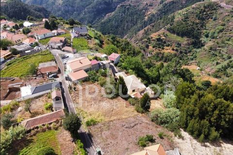 Terra a Gaula, Madeira, Gaula - € 70.000 | Ref: DR352 - foto 11