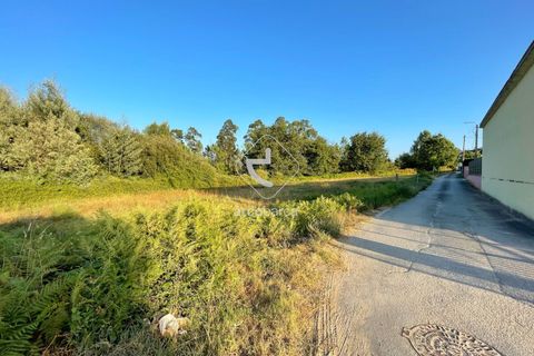 Helårsgrund i Arcos de Valdevez, Viana do Castelo, Arcos de Valdevez - € 55.000 | Ref: AV6100 - foto 11