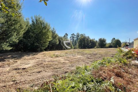 Helårsgrund i Arcos de Valdevez, Viana do Castelo, Arcos de Valdevez - € 55.000 | Ref: AV6100 - foto 5