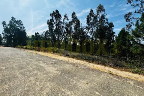 Helårsgrund i Agueda, Aveiro, Agueda - € 83.500 | Ref: 24012 - foto 2