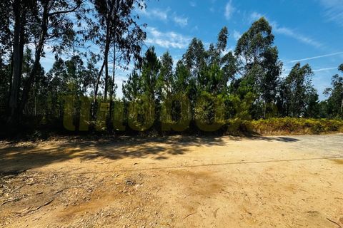Helårsgrund i Agueda, Aveiro, Agueda - € 83.500 | Ref: 24012 - foto 3