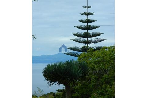 Villa a Ribeira Seca, Sao Miguel, Ribeira Seca - € 225.000 | Ref: AZO2-0202 - foto 11