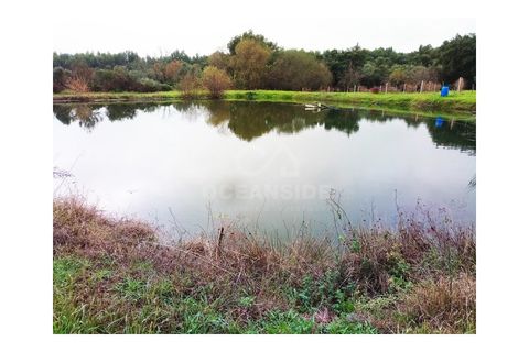 Farm i Castelo Branco, Castelo Branco, Castelo Branco - € 314.000 | Ref: OSE24049.PBRM - foto 3
