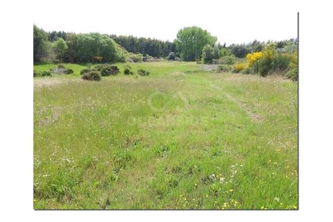 Farm i Castelo Branco, Castelo Branco, Castelo Branco - € 314.000 | Ref: OSE24049.PBRM - foto 16