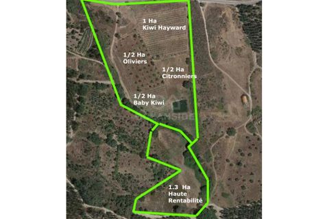 Farm i Castelo Branco, Castelo Branco, Castelo Branco - € 314.000 | Ref: OSE24049.PBRM - foto 33