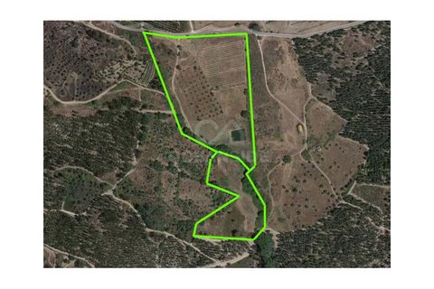 Farm i Castelo Branco, Castelo Branco, Castelo Branco - € 314.000 | Ref: OSE24049.PBRM - foto 34
