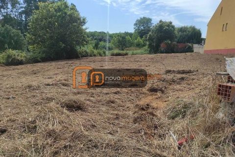 Helårsgrund i Oliveira do Bairro, Aveiro, Oliveira do Bairro - € 34.000 | Ref: Ni2016 - foto 2