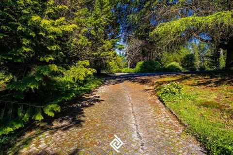 Villa i Guimaraes, Braga, Guimaraes - € 3.500.000 | Ref: SC-4566 - foto 25