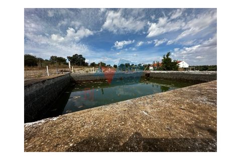 Erhvervsejendom i Beja, Beja, Beja - € 155.000 | Ref: TUR_1710 - foto 2