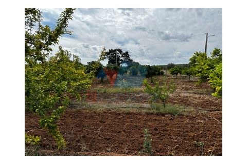 Erhvervsejendom i Beja, Beja, Beja - € 155.000 | Ref: TUR_1710 - foto 3
