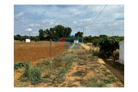 Erhvervsejendom i Beja, Beja, Beja - € 155.000 | Ref: TUR_1710 - foto 5