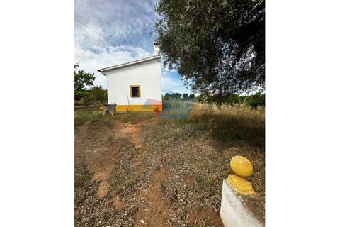Erhvervsejendom i Beja, Beja, Beja - € 155.000 | Ref: TUR_1710 - foto 11