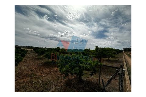 Erhvervsejendom i Beja, Beja, Beja - € 155.000 | Ref: TUR_1710 - foto 12