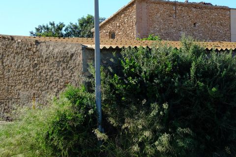 Landejendom i Las Cunas, Almeria, Las Cunas - € 99.999 | Ref: A139 - foto 2