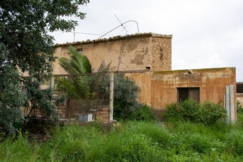Landejendom i Las Cunas, Almeria, Las Cunas - € 99.999 | Ref: A139 - foto 18