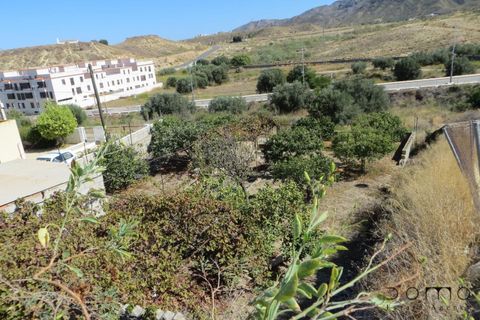 Helårsgrund i Turre, Almeria, Turre - € 95.000 | Ref: A91 - foto 15