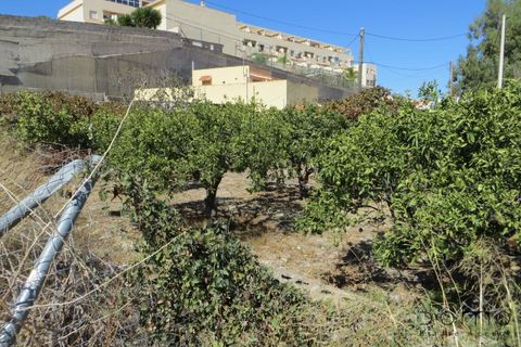 Helårsgrund i Turre, Almeria, Turre - € 95.000 | Ref: A91 - foto 16