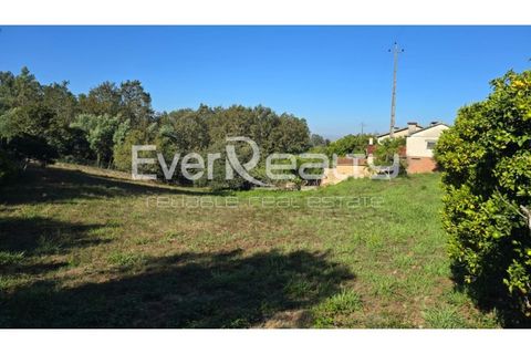 Helårsgrund i Agueda, Aveiro, Agueda - € 85.000 | Ref: 20240904 - foto 1