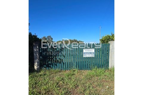 Helårsgrund i Agueda, Aveiro, Agueda - € 85.000 | Ref: 20240904 - foto 2