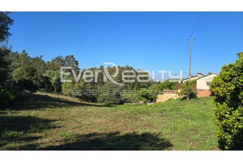 Helårsgrund i Agueda, Aveiro, Agueda - € 85.000 | Ref: 20240904 - foto 5
