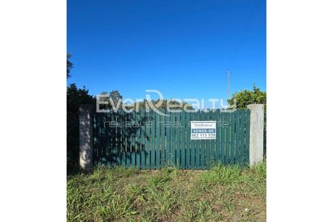 Helårsgrund i Agueda, Aveiro, Agueda - € 85.000 | Ref: 20240904 - foto 7