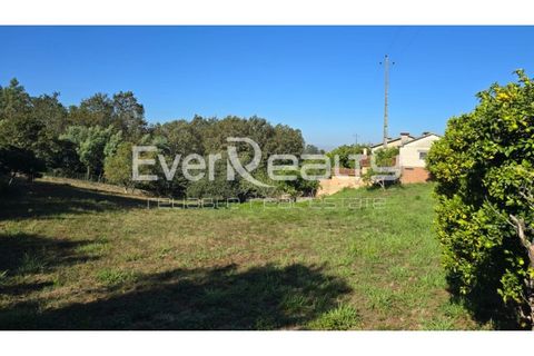 Helårsgrund i Agueda, Aveiro, Agueda - € 85.000 | Ref: 20240904 - foto 8