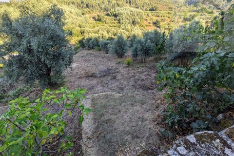 Villa a Tabua, Coimbra, Tabua - € 20.000 | Ref: 608 - foto 13