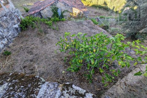 Villa a Tabua, Coimbra, Tabua - € 20.000 | Ref: 608 - foto 14