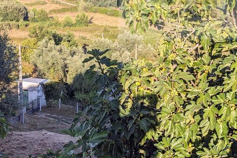 Villa a Tabua, Coimbra, Tabua - € 20.000 | Ref: 608 - foto 15