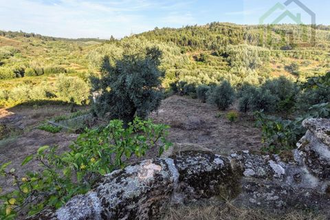 Villa a Tabua, Coimbra, Tabua - € 20.000 | Ref: 608 - foto 17