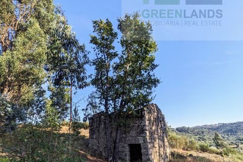 Villa i Tabua, Coimbra, Tabua - € 20.000 | Ref: 609 - foto 3