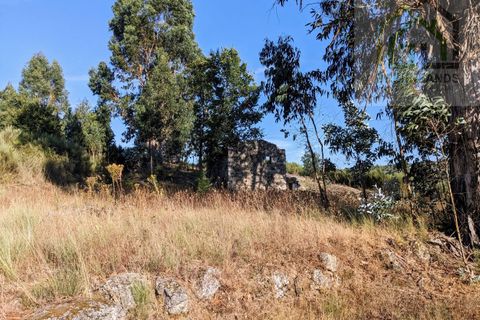 Villa i Tabua, Coimbra, Tabua - € 20.000 | Ref: 609 - foto 4