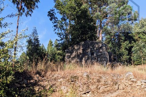 Villa i Tabua, Coimbra, Tabua - € 20.000 | Ref: 609 - foto 6