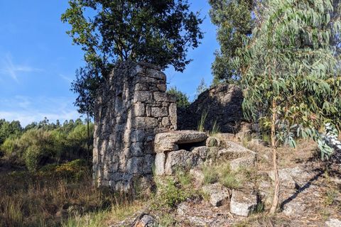 Villa i Tabua, Coimbra, Tabua - € 20.000 | Ref: 609 - foto 8