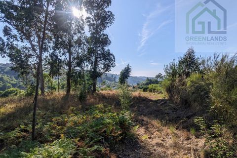 Villa i Tabua, Coimbra, Tabua - € 20.000 | Ref: 609 - foto 13