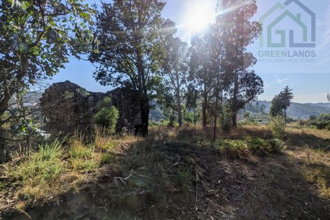 Villa i Tabua, Coimbra, Tabua - € 20.000 | Ref: 609 - foto 14