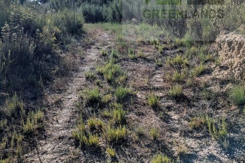 Villa i Tabua, Coimbra, Tabua - € 20.000 | Ref: 609 - foto 16