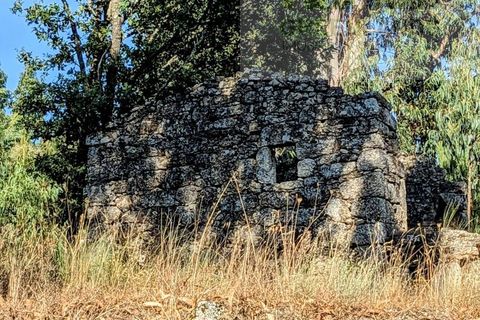 Villa i Tabua, Coimbra, Tabua - € 20.000 | Ref: 609 - foto 18