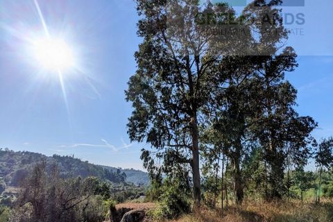 Villa i Tabua, Coimbra, Tabua - € 20.000 | Ref: 609 - foto 19